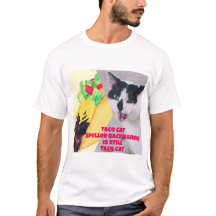 Taco Cat spelled backwards is Taco Cat