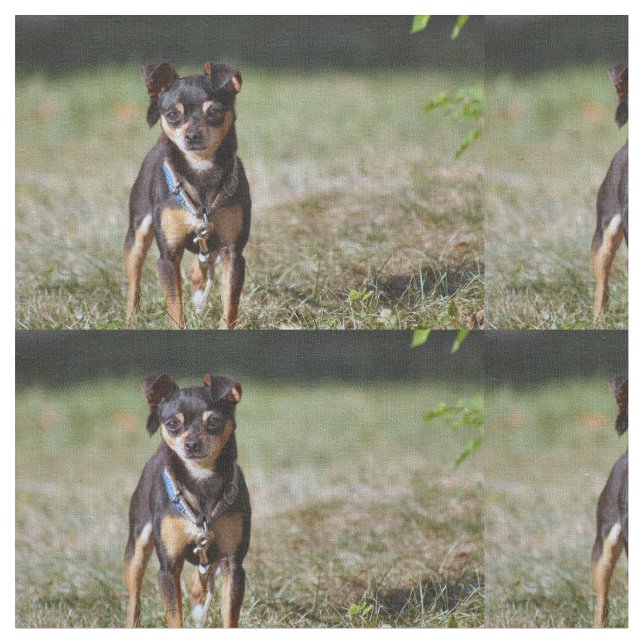 Taco Fabric (Close Up)