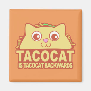 Tacocat Backwards II Magnet