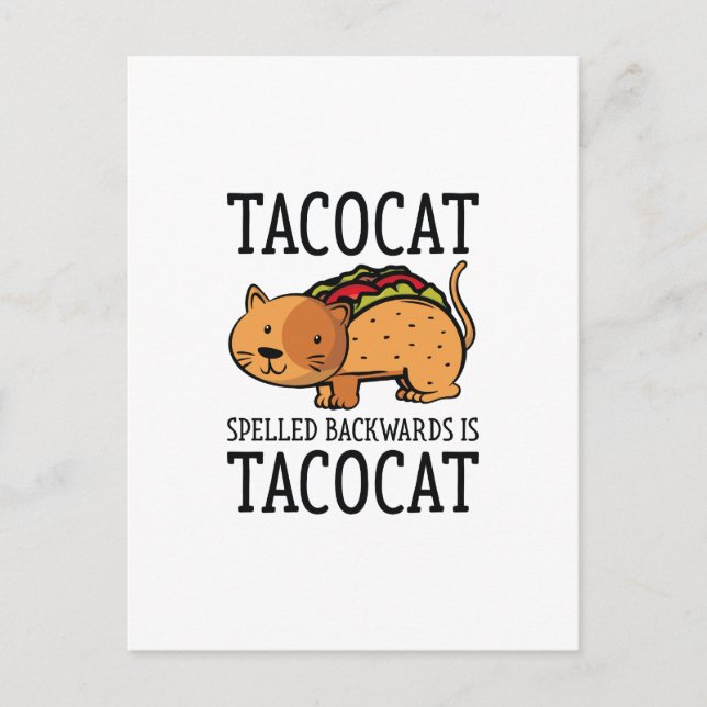 Tacocat Postcard (Front)