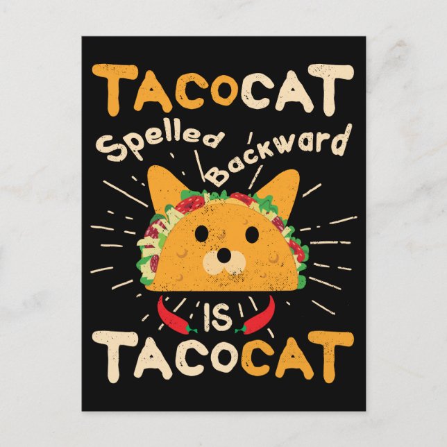 Tacocat Spelled Backwards Cinco de Mayo Cat Taco Postcard (Front)