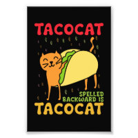 Tacocat Spelled Backwards Tacos Cats Cinco De Mayo
