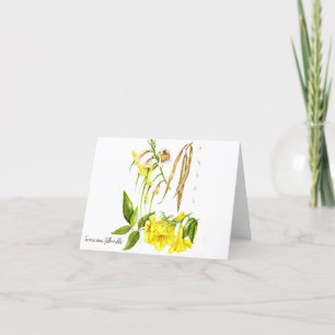 Tacoma stans 'Yellow elder' Thank You Card