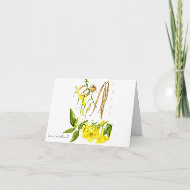 Tacoma stans 'Yellow elder' Thank You Card (Front)