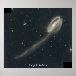 Tadpole Galaxy Poster