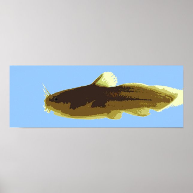 Tadpole Madtom Catfish Poster (Front)