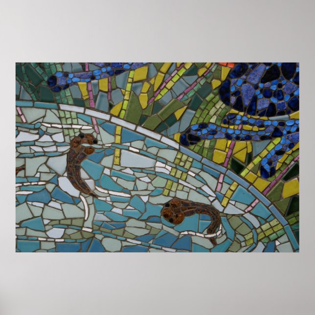 Tadpole Mosaic, 2010 photo by Derrick W. Black Poster (Front)