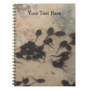Tadpoles Nature Notebook