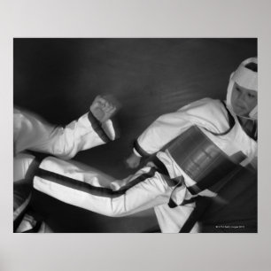 Tae Kwon Do Match Poster