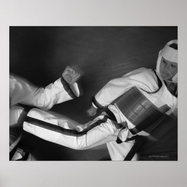 Tae Kwon Do Match Poster (Front)