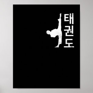 Tae Kwon Do Symbol Training Taekwondo Korean Poster