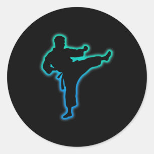 Taekwondo Apparel Martial Arts Karate Classic Round Sticker