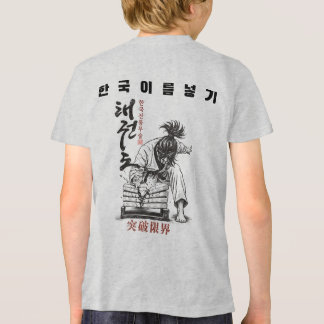Taekwondo Break Limits Korean Martial Arts Vintage Tri-Blend Shirt