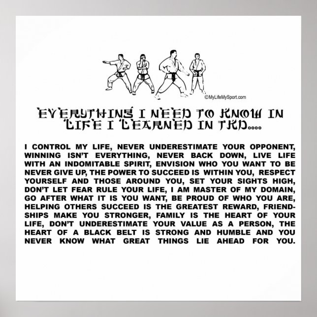 TAEKWONDO POSTER (Front)