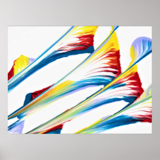 Tag Along 3 Wild Striped Abstract Art Print
