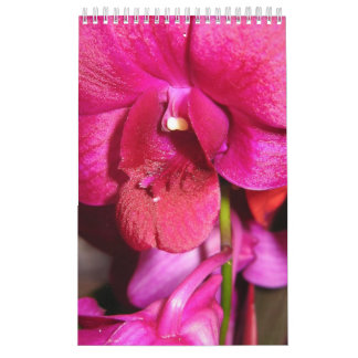 Tahiti Calendar