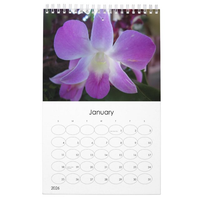 Tahiti Calendar (Jan 2026)