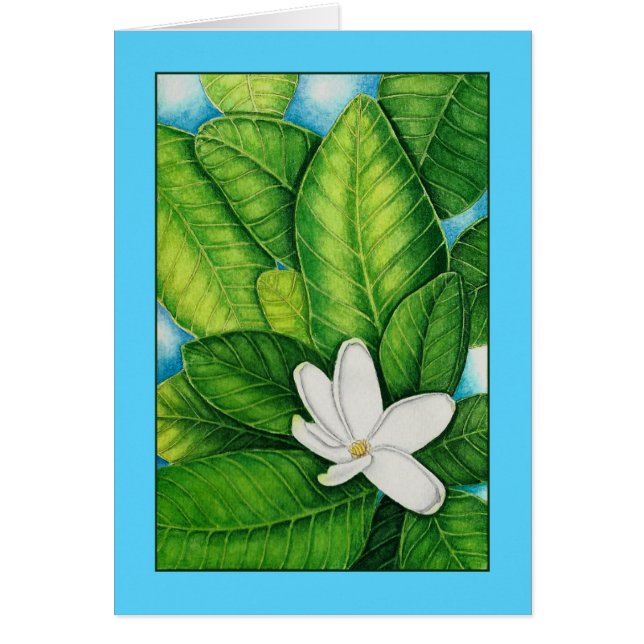 Tahitian Gardenia (Front)