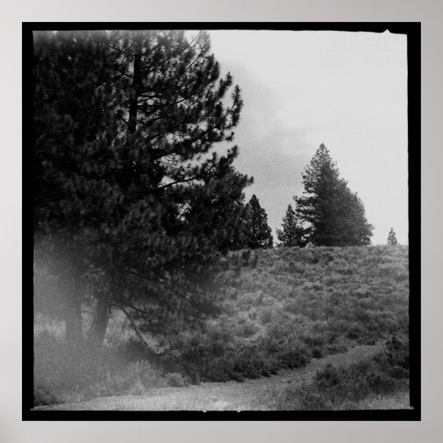 Tahoe National Forest Scene Square 24x24 Photo Poster (Front)