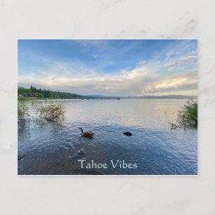 Tahoe Vibes Postcard