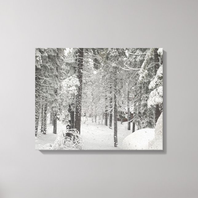 Tahoe Winter Wonderland Canvas Print (Front)