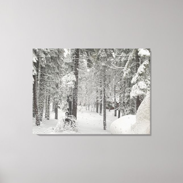 Tahoe Winter Wonderland Canvas Print (Front)