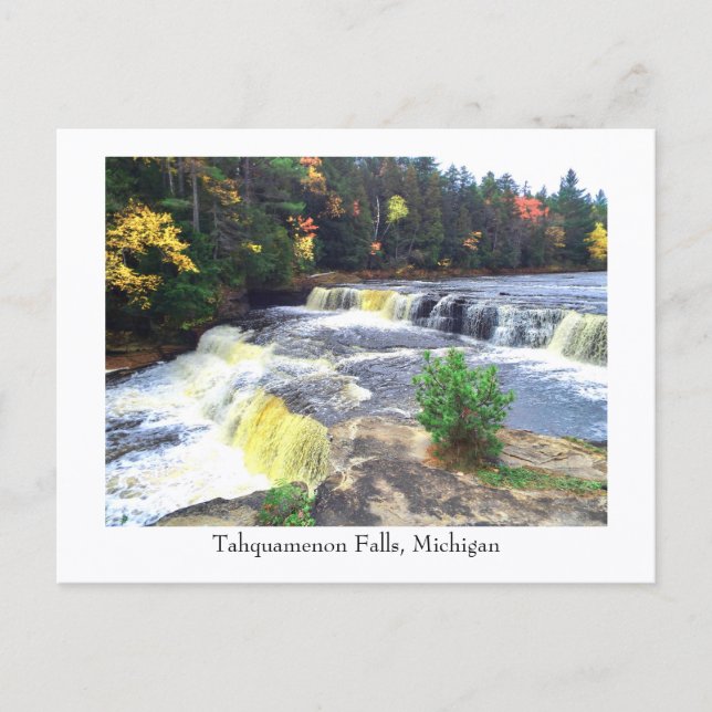Tahquamenon Falls, Michigan Postcard (Front)