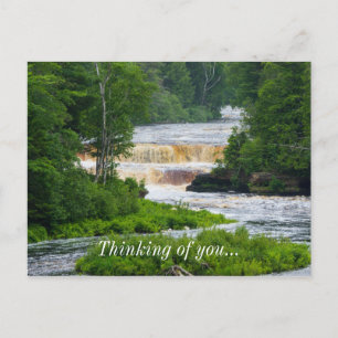 Tahquamenon The Lower Falls Postcard