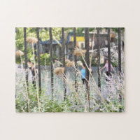 Tai Chi in Chinatown Lower Manhattan New York City