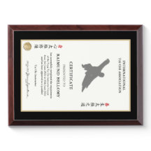 Tai Chi Instructor Certificate