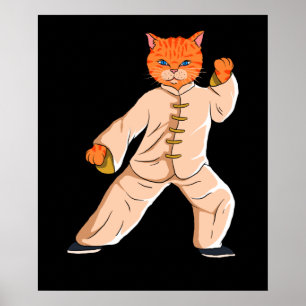Tai Chi Instructor Tai Chi Cat Poster