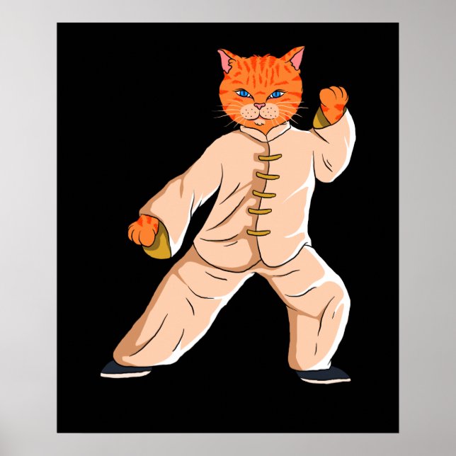 Tai Chi Instructor Tai Chi Cat Poster (Front)