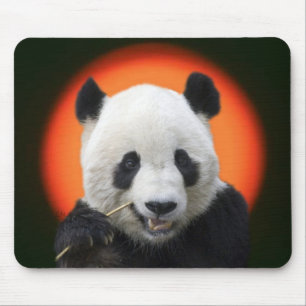 TAI SHAN MOUSE MAT