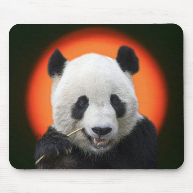 TAI SHAN MOUSE MAT (Front)