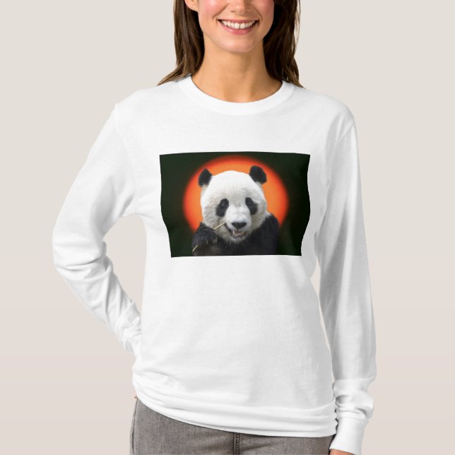 TAI SHAN T-Shirt (Front)
