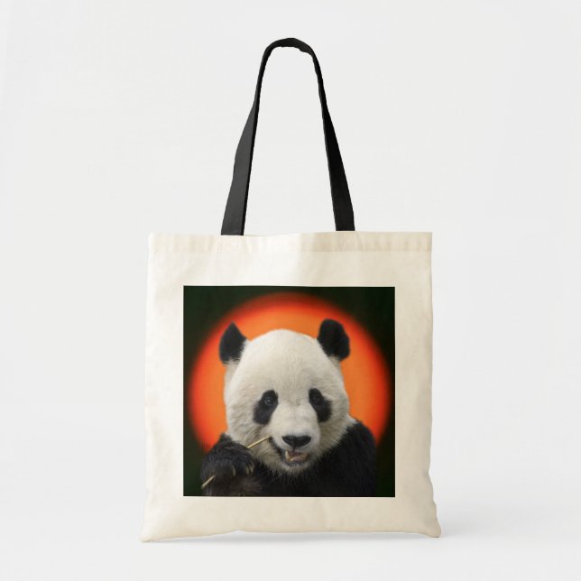 TAI SHAN TOTE BAG (Front)