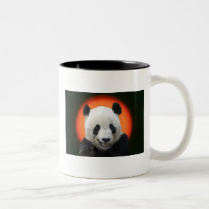 TAI SHAN Two-Tone COFFEE MUG