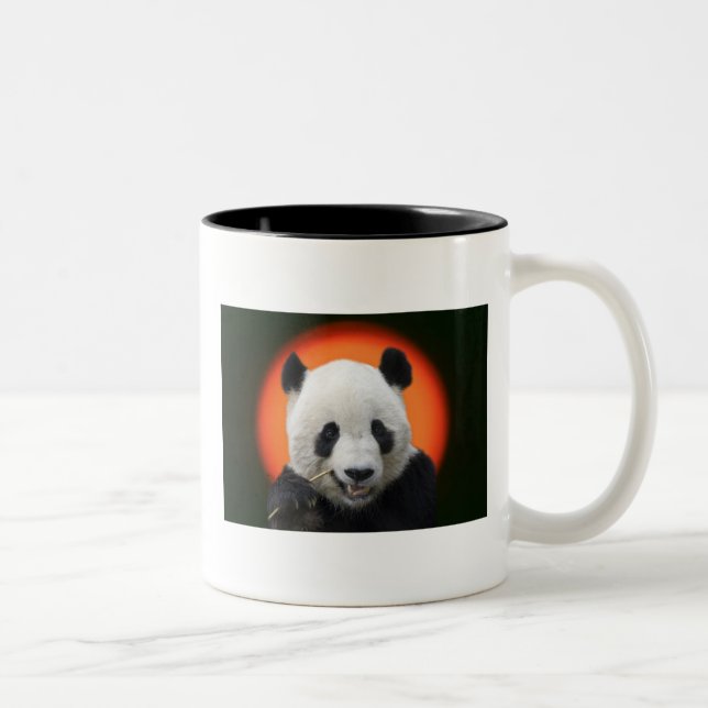TAI SHAN Two-Tone COFFEE MUG (Right)