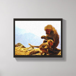 Taif Baboons Canvas Print