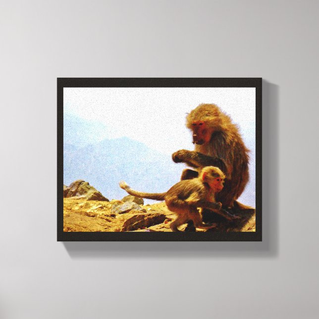 Taif Baboons Canvas Print (Front)