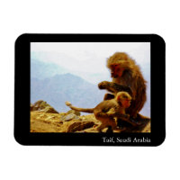 Taif, Saudi Arabia