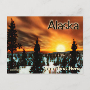 Taiga Sun - Alaska Postcard