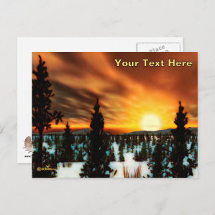 Taiga Sun Postcard