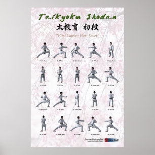 Taikyoku Shodan - First Kata Poster