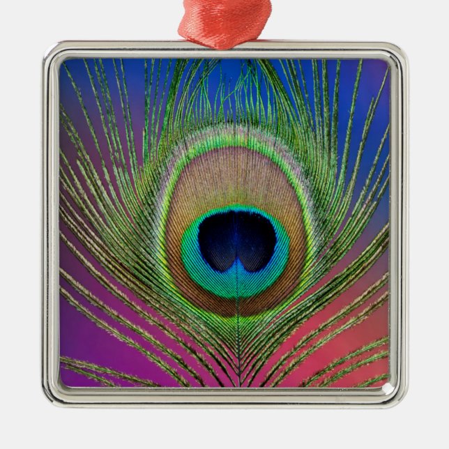 Tail feather of a peacock metal tree decoration (Front)