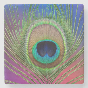 Tail feather of a peacock stone coaster