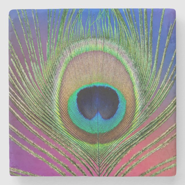 Tail feather of a peacock stone coaster (Front)