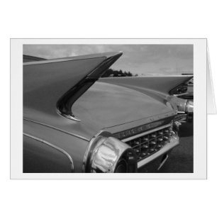 Tail Fins