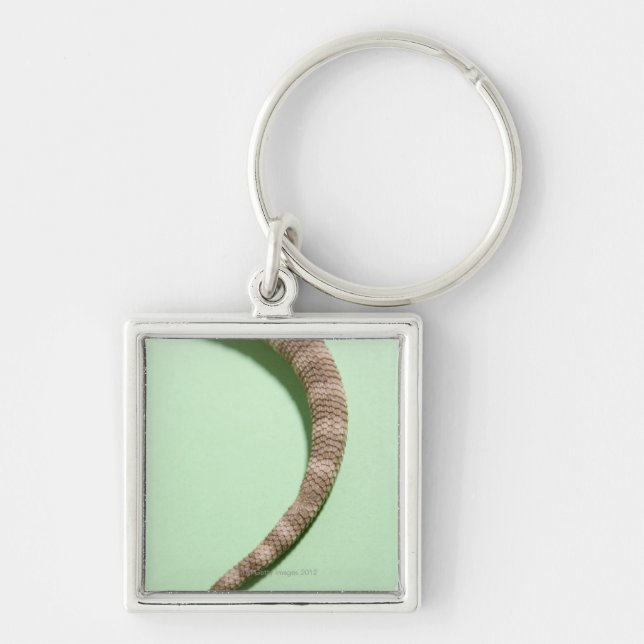Tail of bearded dragon key ring (Front)