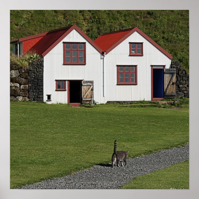 Tail up Cat Poster (Front)